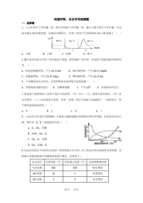 高中生物 细胞呼吸、光合作用检测题