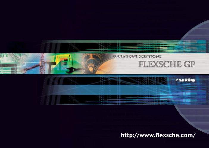 APS排产系统 FlexscheGP-Chs