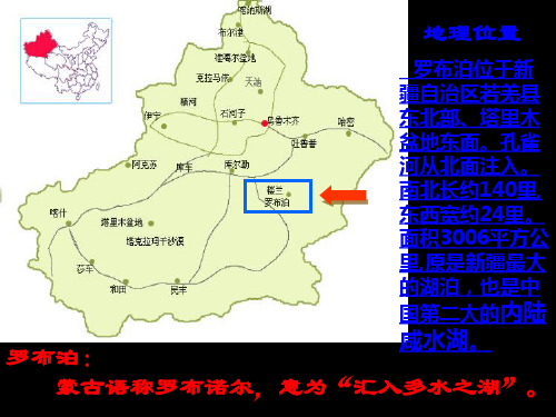 人教版八年级下册语文《罗布泊,消逝的仙湖》课件