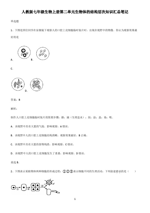 人教版七年级生物上册第二单元生物体的结构层次知识汇总笔记