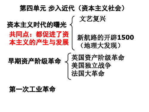 英法美资产阶级革命比较.ppt