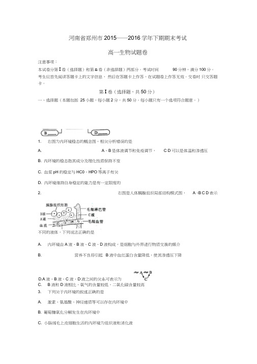 2015-2016学年河南省郑州市高一下学期期末考试生物试题汇总