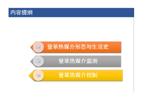 登革热媒介伊蚊监测与控制