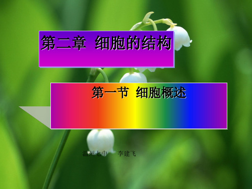 细胞的结构ppt3