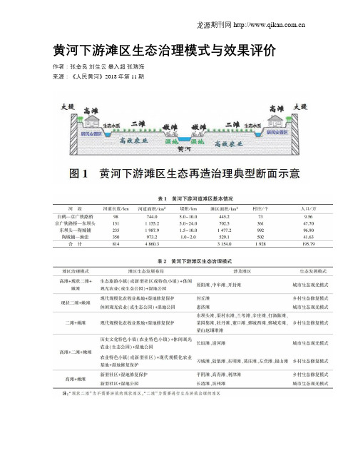 黄河下游滩区生态治理模式与效果评价