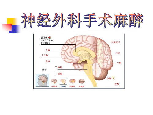 【麻醉 案例分析 课件】神经外科手术的麻醉