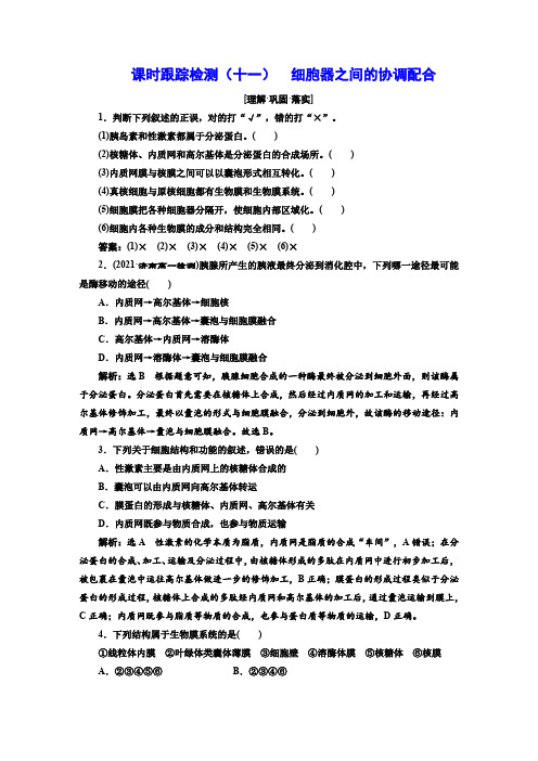 人教版高中生物课时跟踪检测(十一)  细胞器之间的协调配合