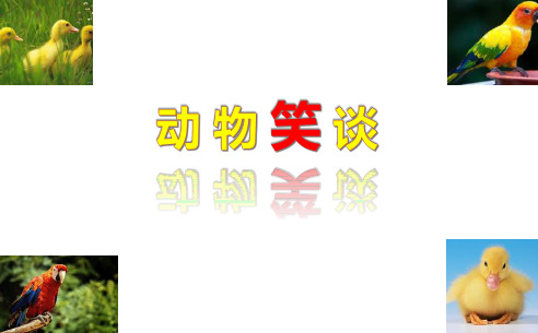 人教部编版语文七年级上册 17动物笑谈课件(共28张PPT)