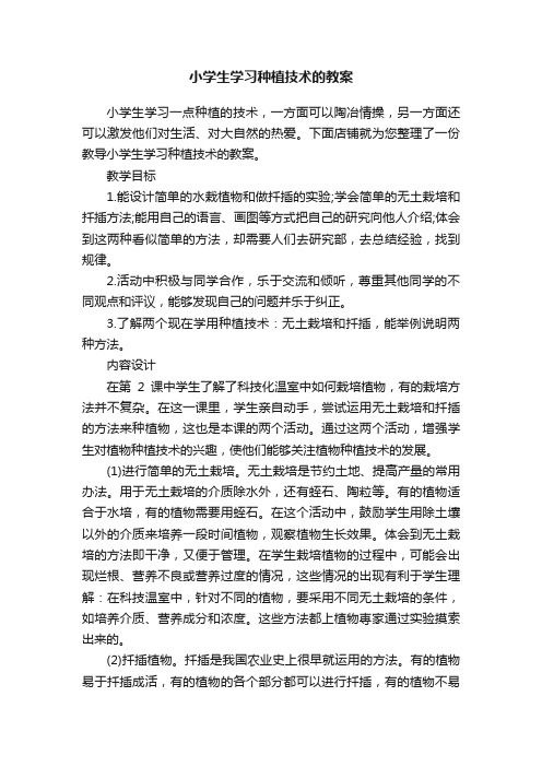 小学生学习种植技术的教案