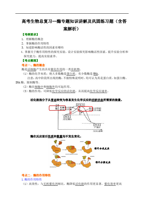  高考生物总复习--酶专题知识讲解及巩固练习题(含答案解析)