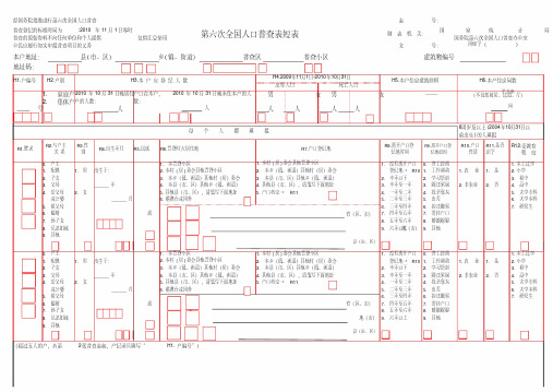 第六次全国人口普查表短表