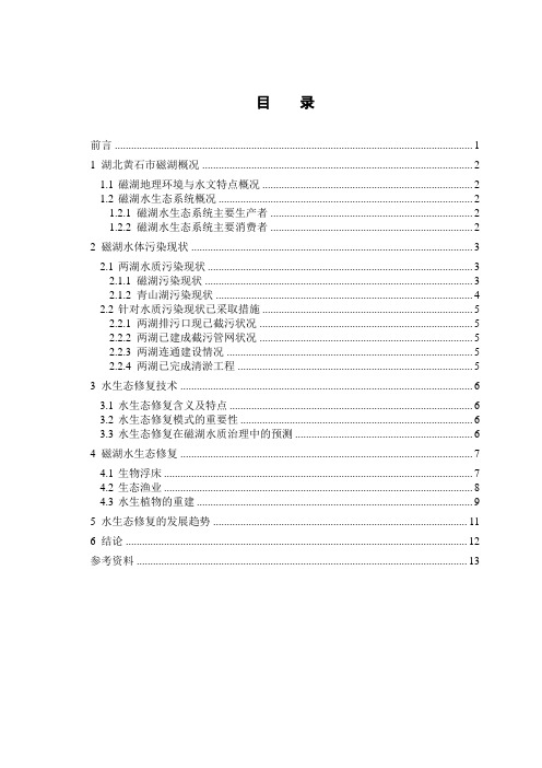 浅谈水生态修复在磁湖水质治理中的应用