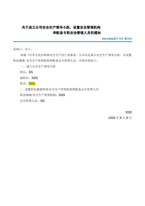 关于任命专职安全管理人员的通知