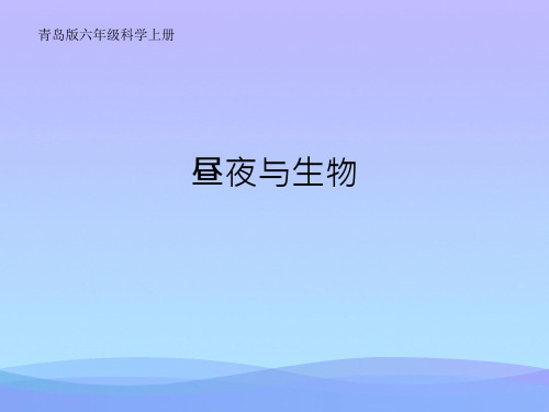 (优选)六年级科学上册昼夜与生物ppt课件3青岛版