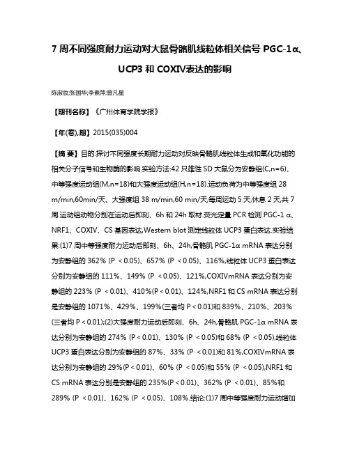 7周不同强度耐力运动对大鼠骨骼肌线粒体相关信号PGC-1α、UCP3和COXⅣ表达的影响