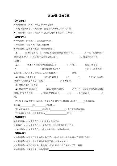 川教版历史八年级上册学案第22课 思想文化
