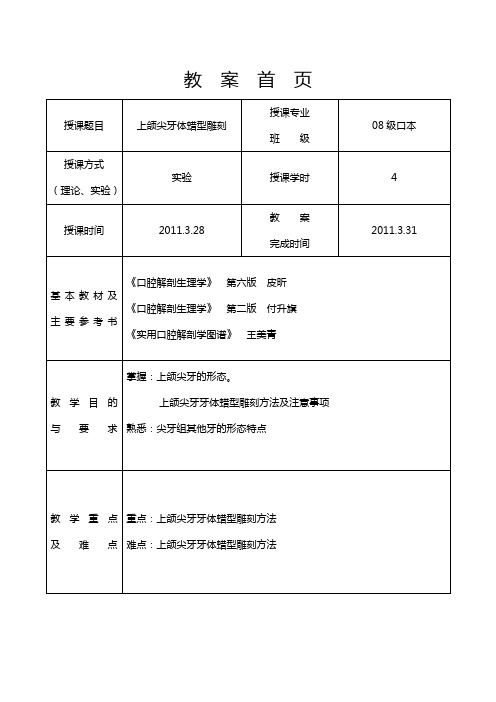 12(实验5上颌尖牙体蜡型雕刻)