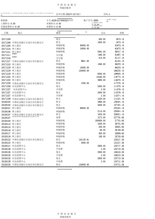 农行最新流水对账单电子模版3