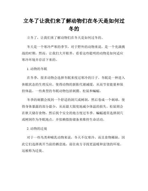 立冬了让我们来了解动物们在冬天是如何过冬的