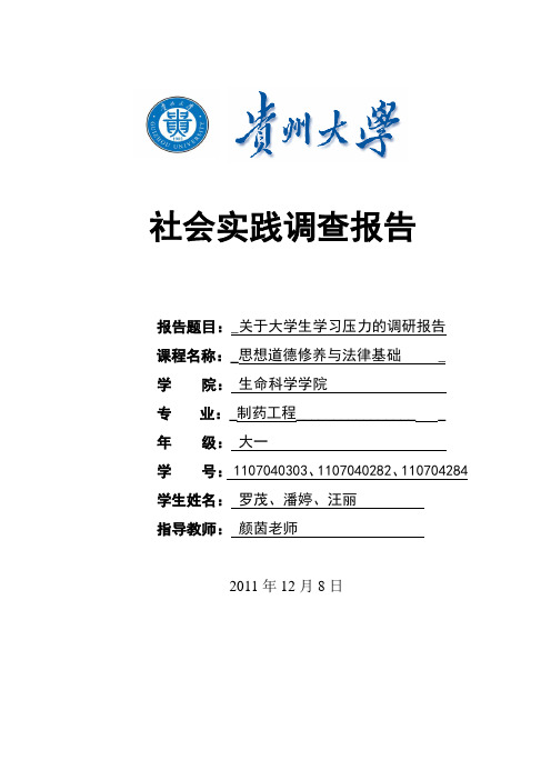 关于大学生学习压力调研社会实践调查报告