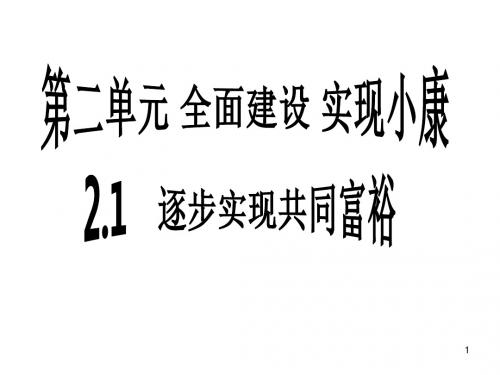 21《逐步实现共同富裕》课件粤教九年级