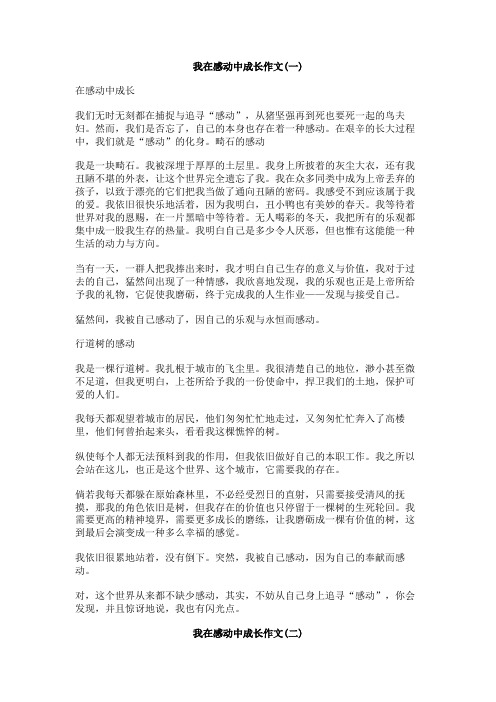 我在感动中成长作文