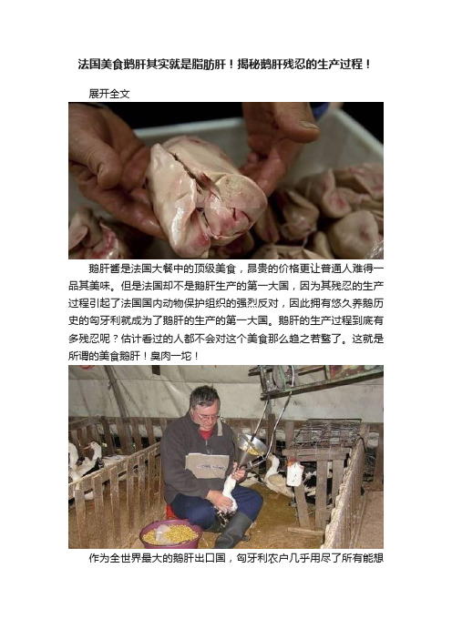 法国美食鹅肝其实就是脂肪肝！揭秘鹅肝残忍的生产过程！