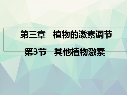 人教版高中生物必修3第3章第3节其他植物激素课件(共30张PPT)