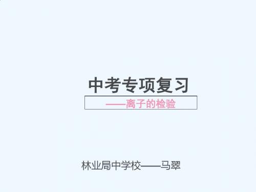 化学人教版九年级下册中考专项复习——离子的检验