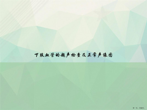 下肢血管的超声检查及正常声像图讲课文档