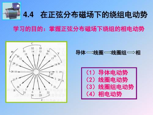 《电机学》课件 第四章交流绕组的理论2