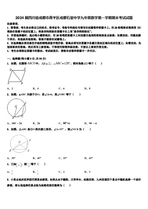 2024届四川省成都市青羊区成都石室中学九年级数学第一学期期末考试试题含解析