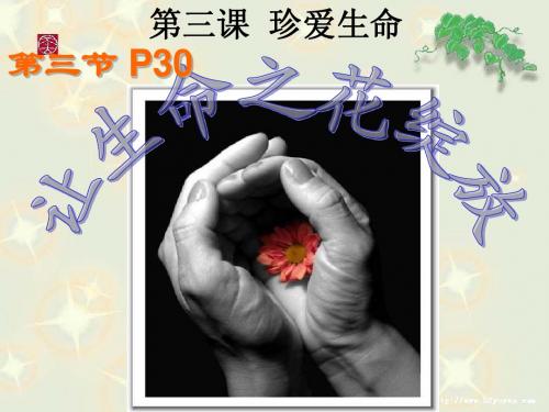 3.3 让生命之花绽放