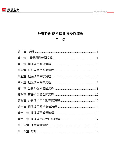 融资担保操作流程