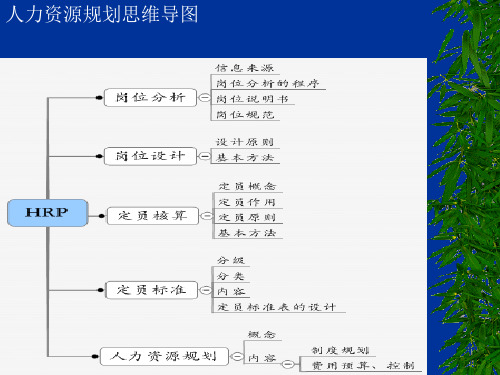 三级人力资源规划.ppt