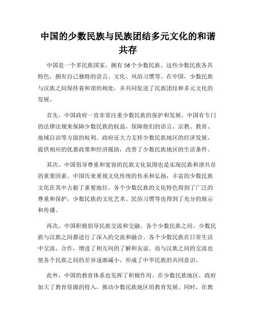 中国的少数民族与民族团结多元文化的和谐共存