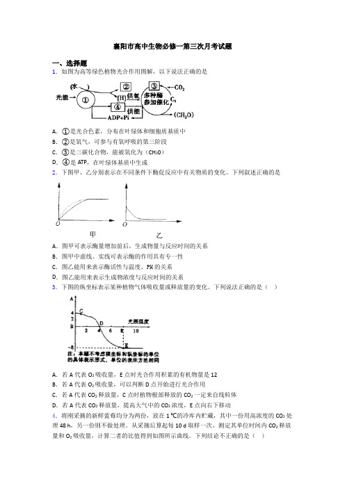 襄阳市高中生物必修一第三次月考试题