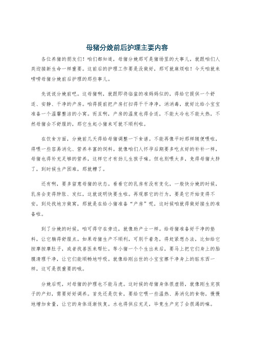 母猪分娩前后护理主要内容