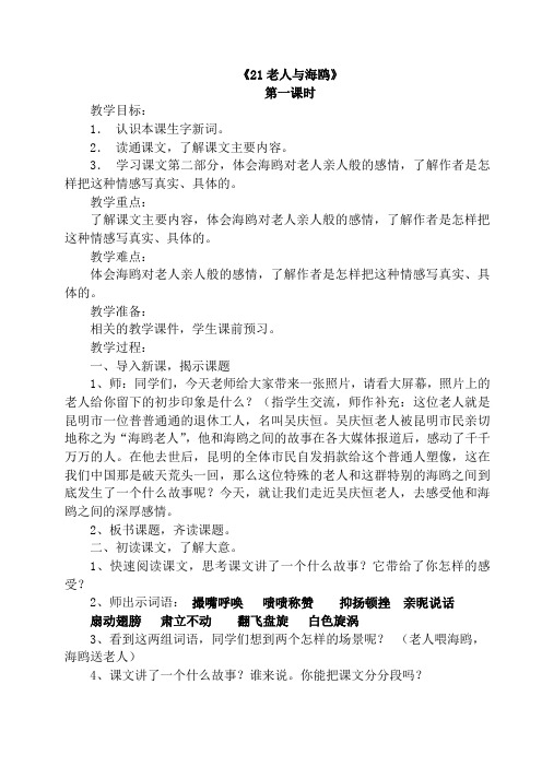 21老人与海鸥优秀教案(与课件成套)