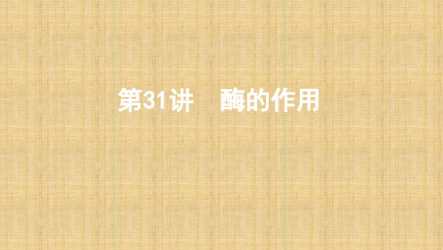 浙江选考2020版高考生物一轮复习第31讲酶的应用名师课件