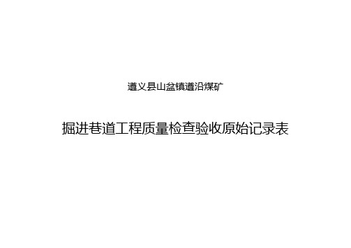 掘进巷道工程质量检查验收原始记录表