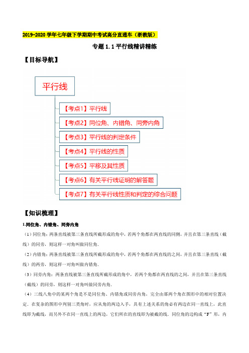 专题1.1平行线（精讲精练）（解析版）【浙教版】