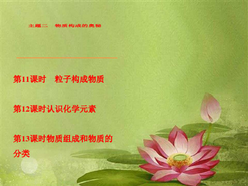 化学—河北专版·主题二