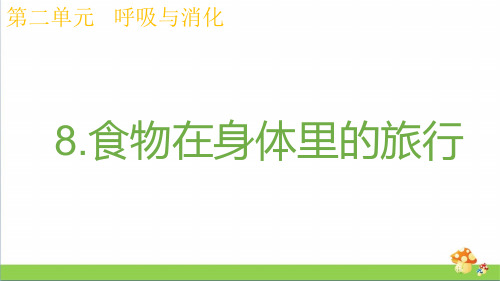 2020教科版四年级上册科学课件2.8食物在身体里的旅行优质课件