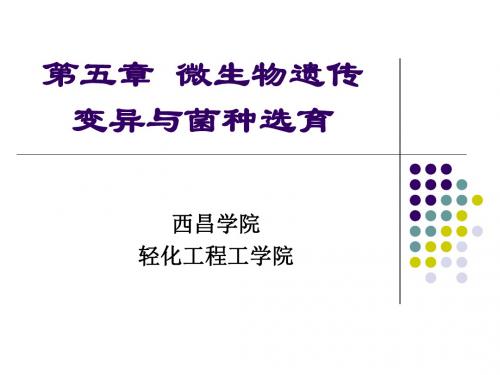 [精选]第五章微生物遗传变异与菌种选育--资料