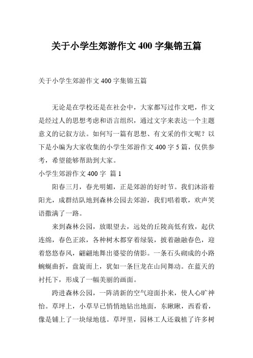 关于小学生郊游作文400字集锦五篇