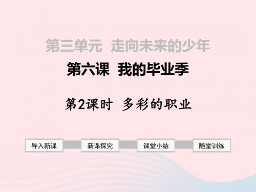 2019年九年级道德与法治下册全一册课件(人教部编版打包14套)(8)最新版