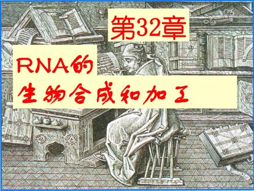 32 王镜岩生物化学教程 2008版 第32章_RNA的生物合成和加工