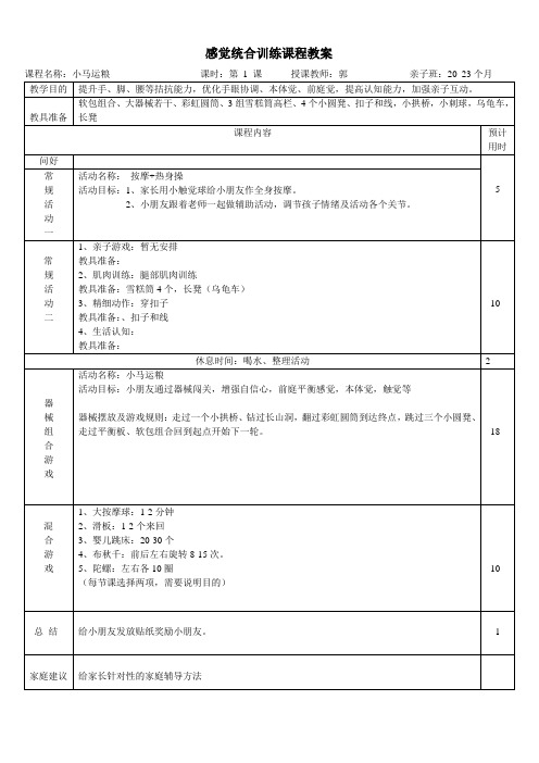 婴幼儿感觉统合训练课程教案(20-23个月)