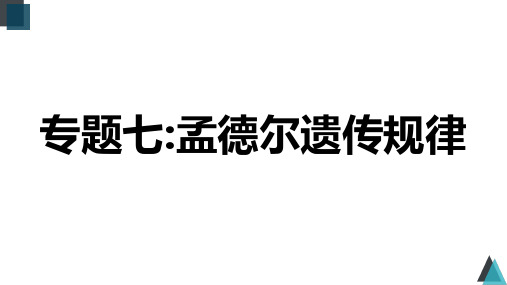 专题07 遗传的基本规律(课件)-2023年高考生物二轮复习(全国通用)